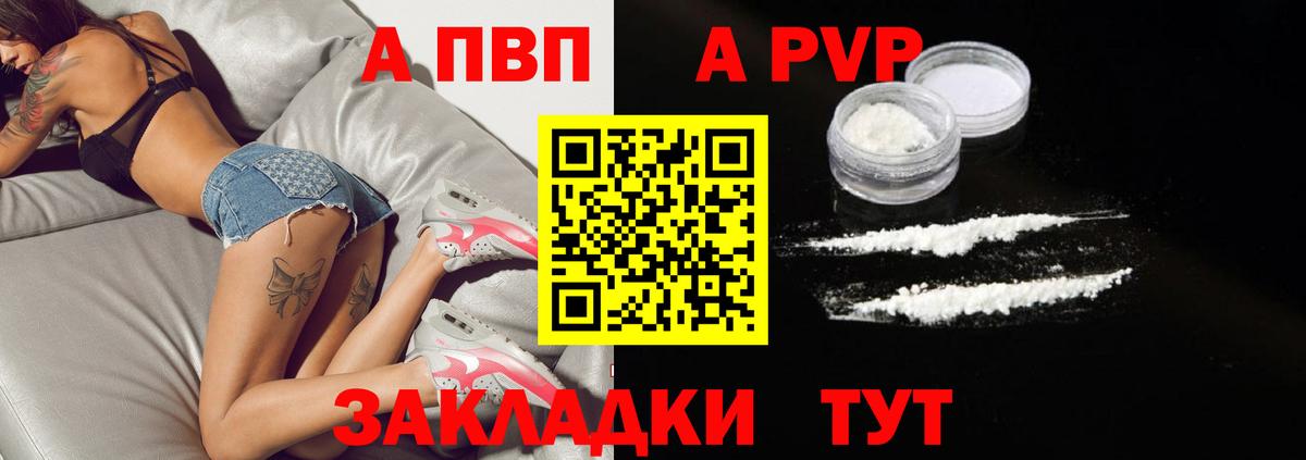 A-PVP СК КРИС Аргун