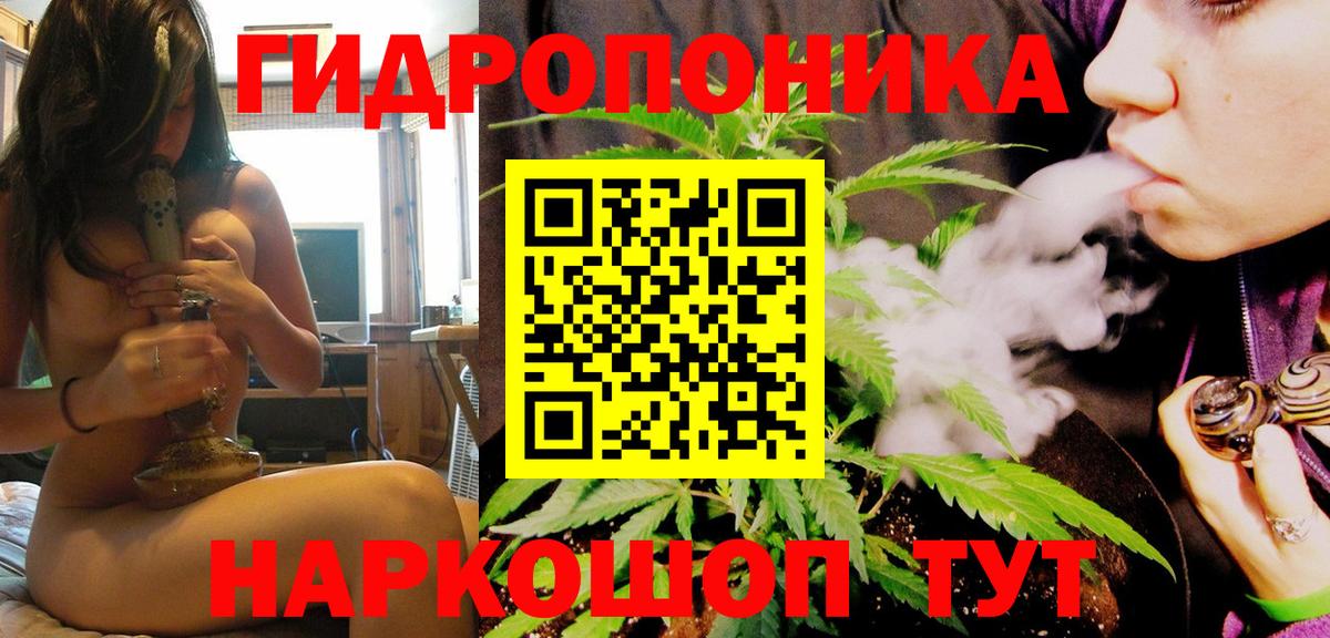 Каннабис OG Kush  Бошки марихуана семена  Аргун  Вход с VPN  Каннабис Ganja 